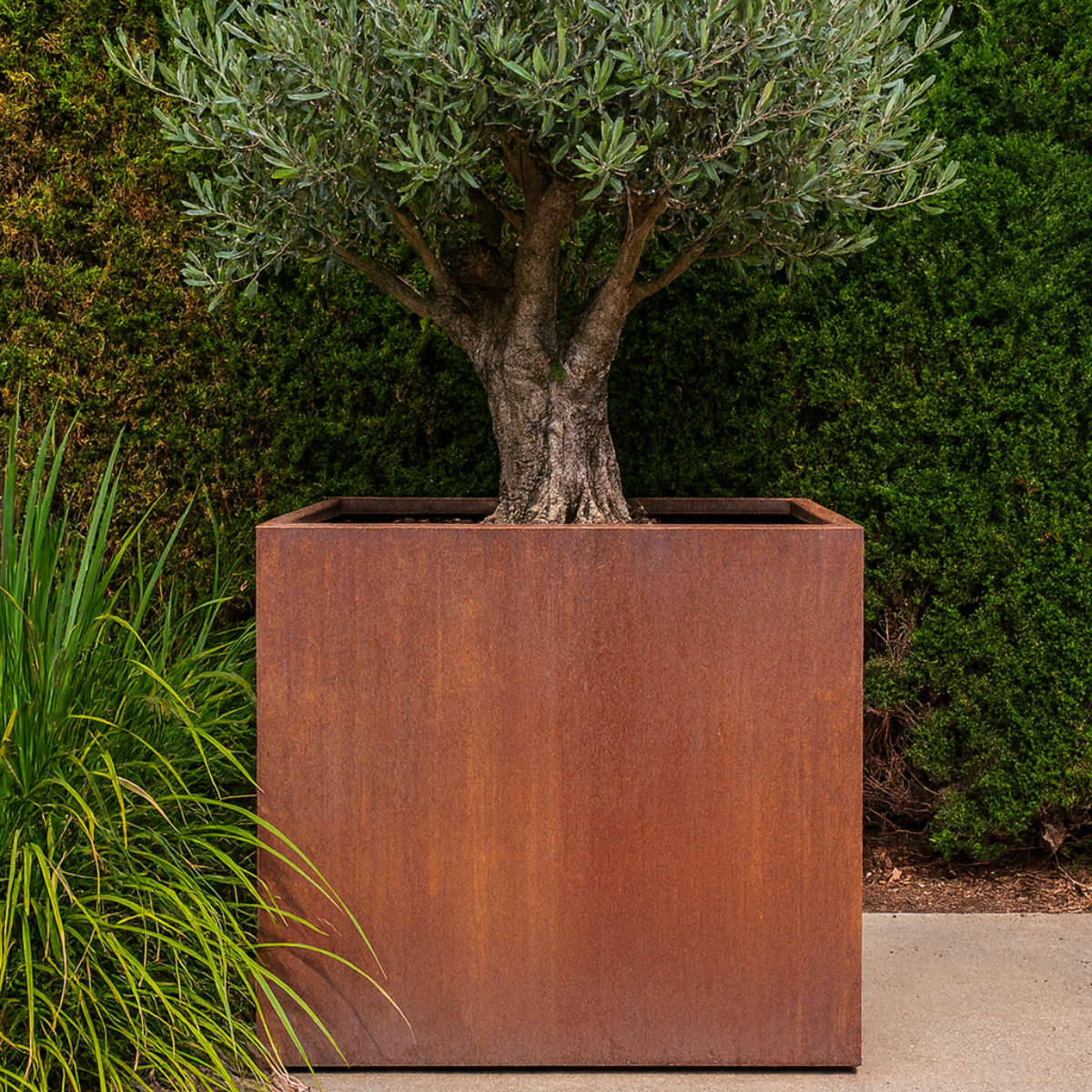 Cortenstaal plantenbak CORTEA 100 x 100 x 100 cm