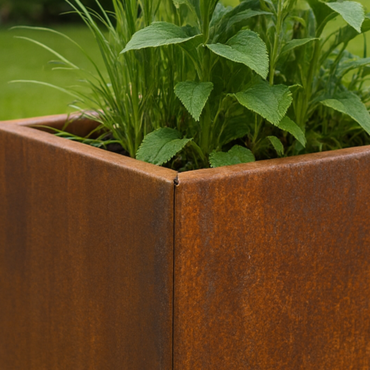 Cortenstaal plantenbak CORTEA 50 x 50 x 50 cm